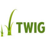 twig