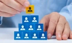 mlm-software-binary-plan mlm-software-binary-plan