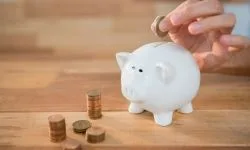 mlm-software-investment-plan mlm-software-investment-plan