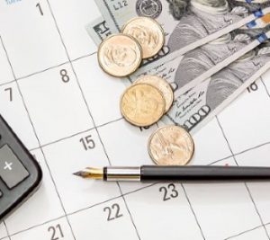 mlm-software-price-in-monthly-charges