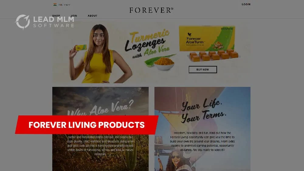 Top 10 MLM Companies In Brazil