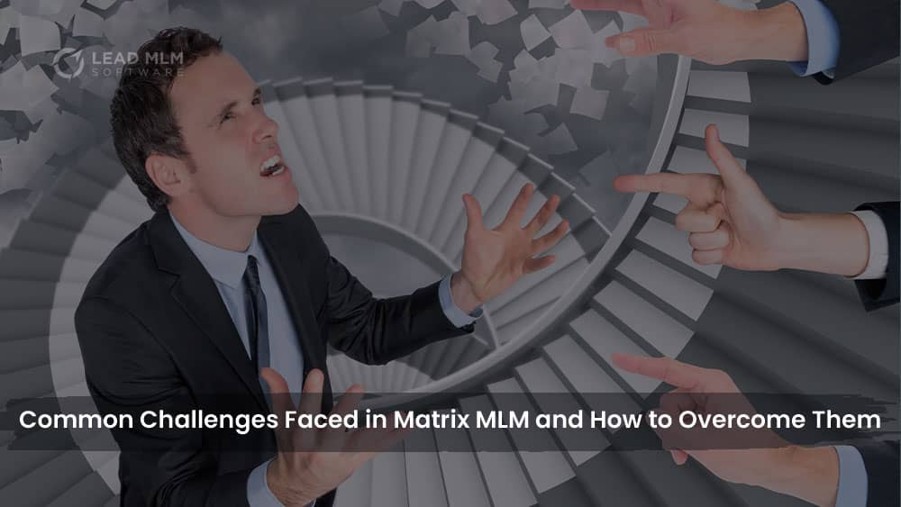 Addressing Challenges In Matrix MLM And Effective Solutions